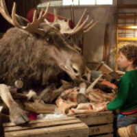 Filme aus den Niederlanden haben mich schon oft im positiven Überrascht, so auch “Midden in de Winternacht”. Die Geschichte basiert auf dem Kinderbuch “Es ist ein Elch entsprungen”. Die Geschichte Max, Kiki und die Mutter leben in einer gemütlichen Idylle wo wenig passiert, bist auf der alt bekannte Nachbarskrieg. Doch dies ist nicht die einzige Sorge der der kleinen Familie, denn kurz vor dem Weihnachtsfest haben sich die Eltern getrennt. Während die ziemlich oberschlaue kleine Schwester Kiki das ganze recht locker nimmt und in ihren Physikbüchern versinkt, hat Max sehr darunter zu leiden und zieht sich aus dem Familienleben komplett zurück. Als es eines Nachts aber von draußen laut scheppert und er einen Blick auf das Geschehen wirft durch das Fenster, muss er ein großes Loch in der Scheune feststellen. Mit einer Jacke bewaffnet wagt er sich zur Scheune um nach zu sehen, was passiert ist und traut seinen Augen [&hellip;]